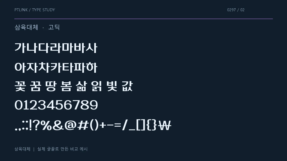 삼육대체 지원 문자와 숫자 모양