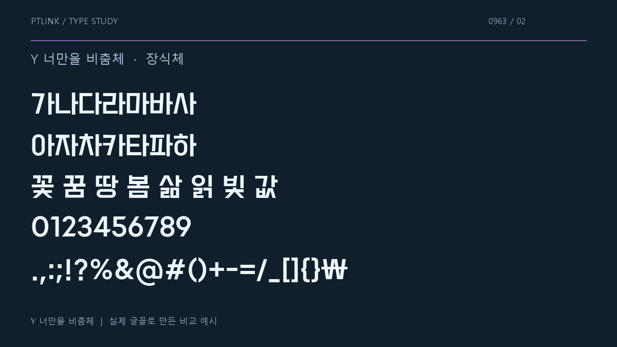 Y 너만을 비춤체 지원 문자와 숫자 모양
